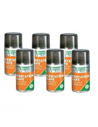 6x Kenyatrin safe bomboletta insetticida da 250ml. Copyr