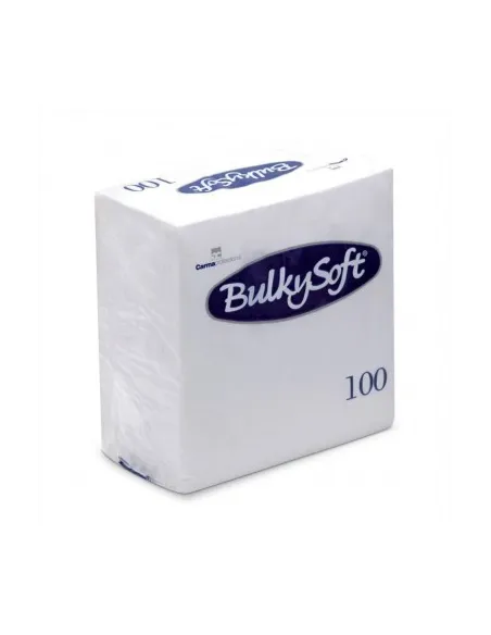 Tovagliolo di carta colorati 24x24 2 veli 100PZ