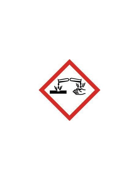 Home Protector lt. 5 detergente base cloro Allegrini