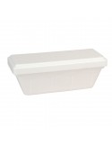 Vaschetta in polistirolo contenitore per gelato 750gr. 50pz.