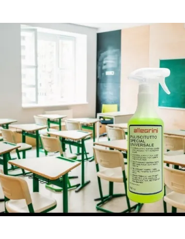Puliscitutto Special Universale 750ml. det. levainchiostro Allegrini