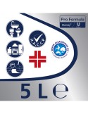 Lysoform professional disinfettante con P.m.c.