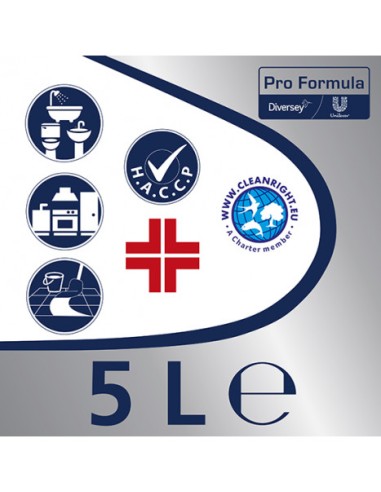 Lysoform professional disinfettante con P.m.c.
