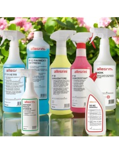 Kit Pulizia Base per B&B - Detergenti Professionali per una Pulizia Impeccabile e Sicura