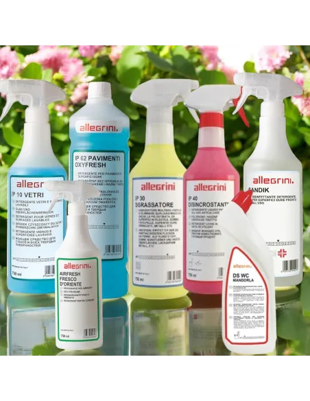 Kit Pulizia Base per B&B - Detergenti Professionali per una Pulizia Impeccabile e Sicura