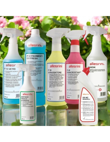 Kit Pulizia Base per B&B - Detergenti Professionali per una Pulizia Impeccabile e Sicura