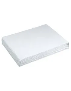 Tovaglietta sottopiatto 30x40 bianca 250 pezzi