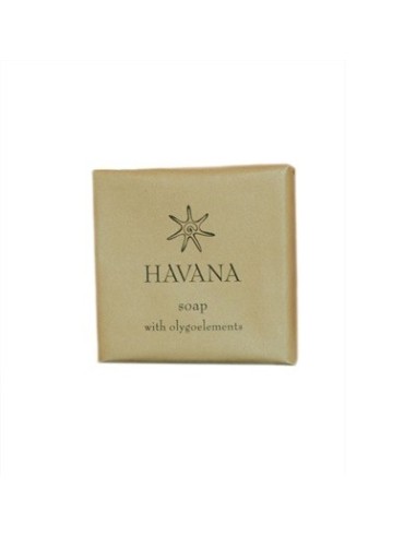 Saponetta incartata 20gr Havana Allegrini confezione 240pz | detershoponline.it
