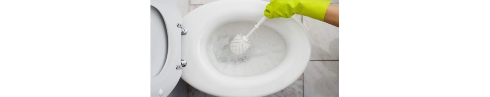 Vendita online detergenti e prodotti per pulizia wc