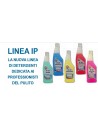 Linea IP Allegrini