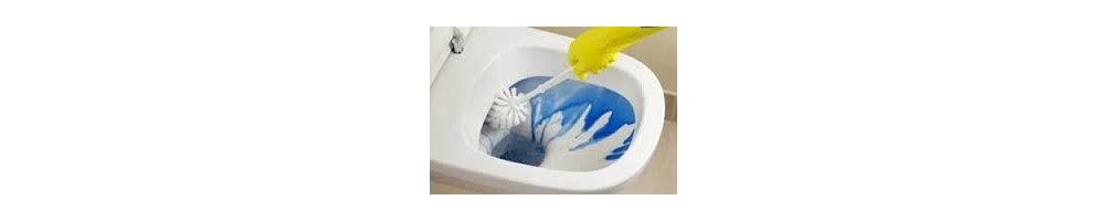 Vendita disincrostante per la pulizia e la cura di wc sanitari lavabi